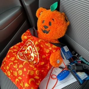Build a bear pumpkin glow bear with pumpkin carrying case! NO TAGS